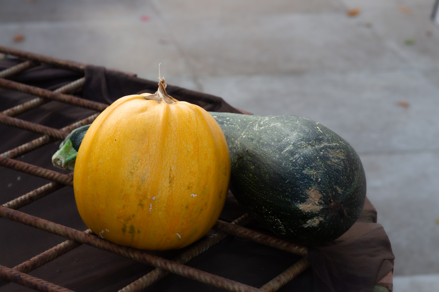Courge et courgette